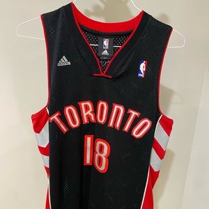Official NBA Toronto Raptors Jersey (Men’s Size Small +2 length)